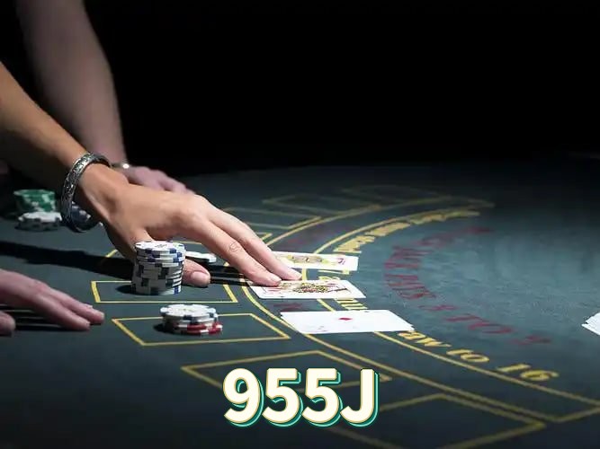955J feedback — formulário de envio no aplicativo oficial